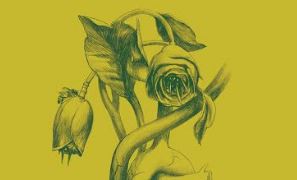 Libros del Zorro Rojo publica \