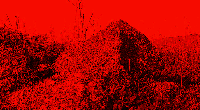 TerritorioGoya i Fundació Telefònica s\'alien per lluitar contra la despoblació