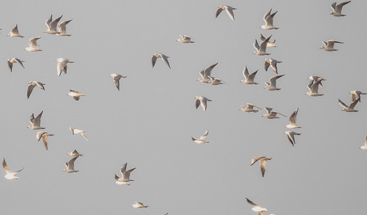 L\'òpera prima d\'Amparo Garrido, seleccionada per a la 22 edició del Festival de Màlaga Cinema en Espanyol