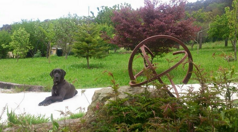 Patricia Cancelo exposa a Silvia Sennacheribbo,