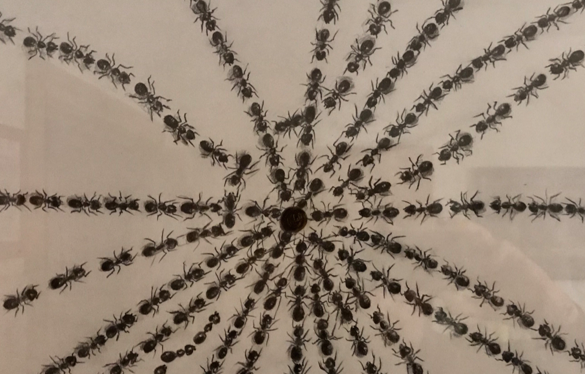 Agustín de Córdoba presenta el projecte Multidisciplinar \