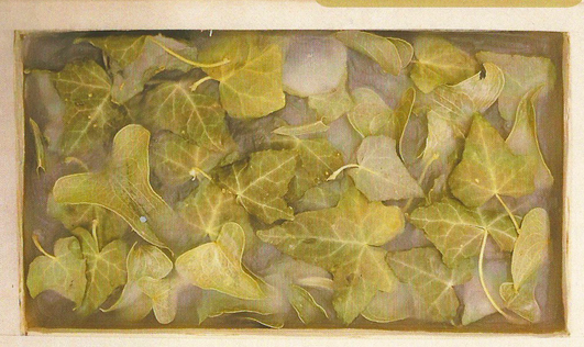 Entre Llibres, exposició de Valle Aguilar al Centre Cultural La Bòbila