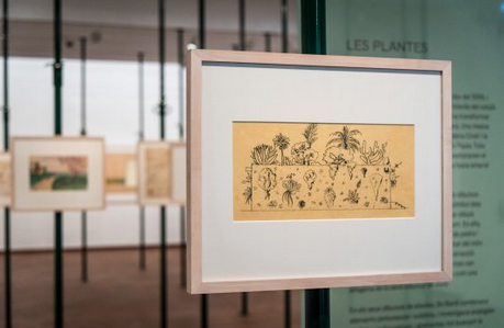 La Fundació Joan Miró presenta noves exposicions i activitats per al mes de març