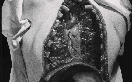 El Centre d\'Art d\'Alcobendas exposa fotografies d\'entreguerres de la Col·lecció de l\'IVAM