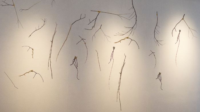 Una instal·lació de l\'artista Marina E.G. a la Sala Stripart