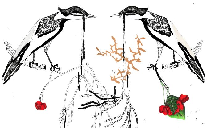 El vellut negre de Kataryzna Rogowicz al Garden Center Bourguignon