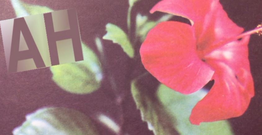 Activitat intergeneracional a Experimentem amb l\'Art