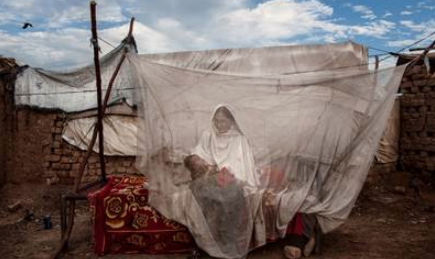 El CBA acull la mostra \