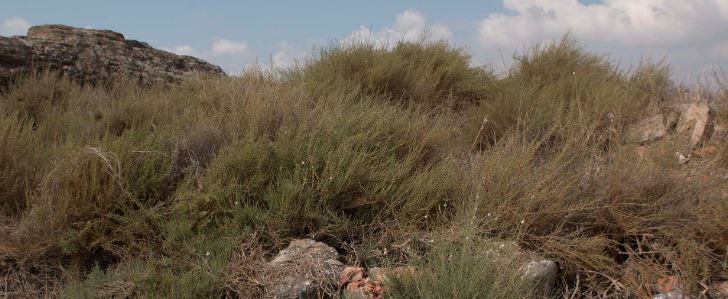 Temptativa d\'Inventaris, a la sala gòtica de l\'Institut d\'Estudis Ilerdencs