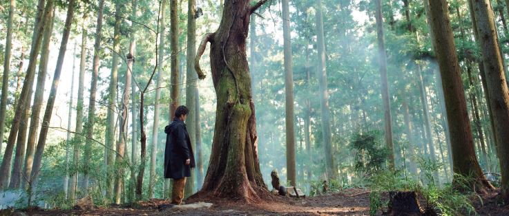 Nova edició de La Pantalla de l\'Art al Museu Würth