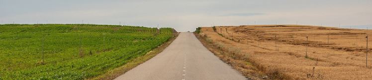 Al febrer acaba l\'exposició \