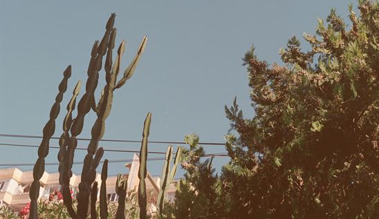 Ángela Bonadies, nova artista en residència a Addaya Centre d\'Art Contemporani