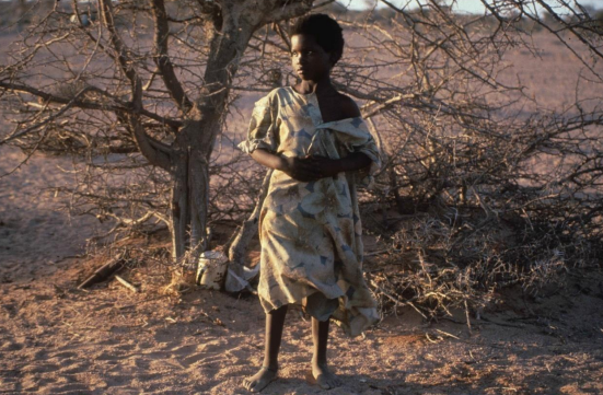 La Galeria Blanca Berlín recapta 20.500 euros pels refugiats de Tinduf