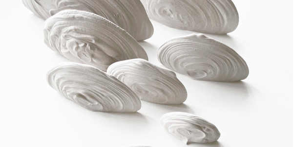 El natural i l\'artificial es troben al Centre Cultural el Casino