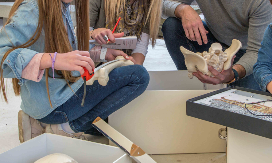 El MNAT prepara l\'activitat \