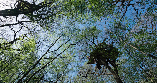 Oliver Ressler, entre l\'art i la política a Àngels Barcelona