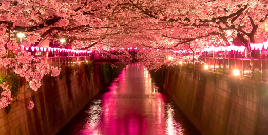 Últims dies per participar a la Fira Internacional de Tòquio