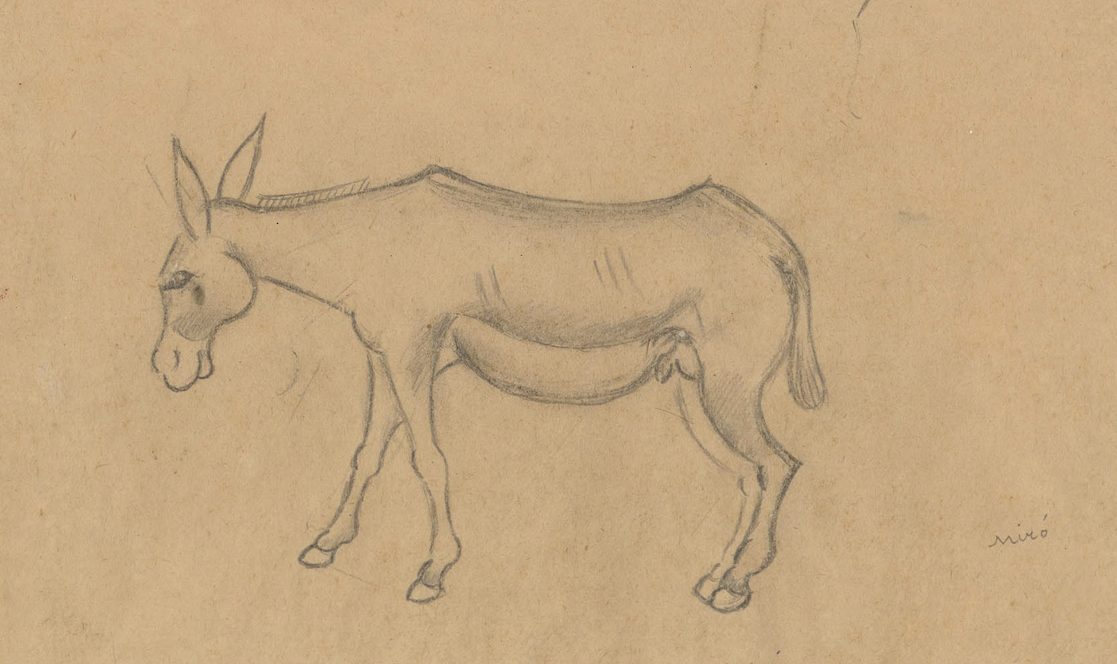 La Fundació Joan Miró presenta el programa d’exposicions per a 2019