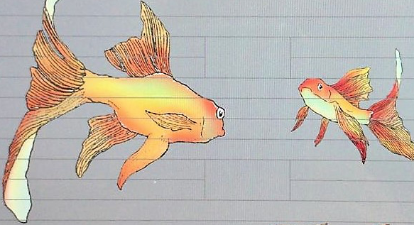 Peixos al carrer de la Penitència