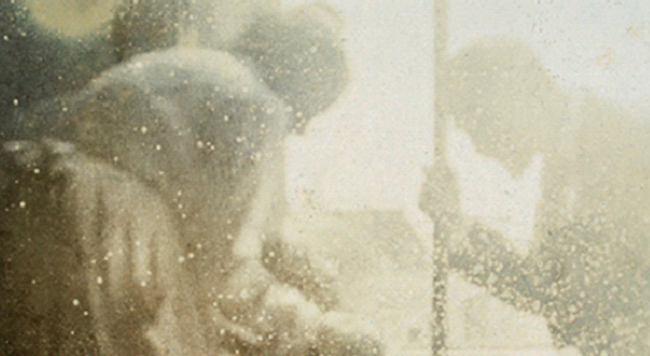 Primera mostra de Joan Fontcuberta a la Galeria Pilar Serra