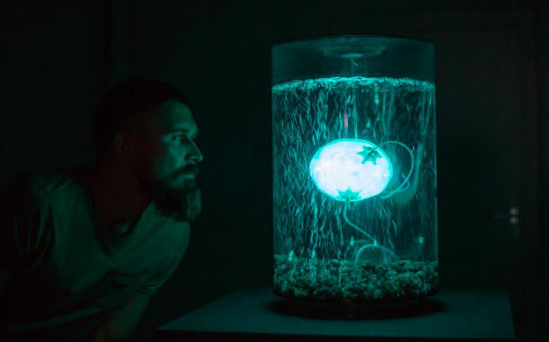 LABoral llança una nova convocatòria de residències per a artistes emergents europeus