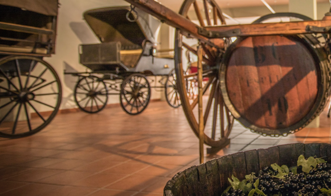 El Museu de la Vida Rural acull una jornada sobre gestió cultural en entorns no urbans