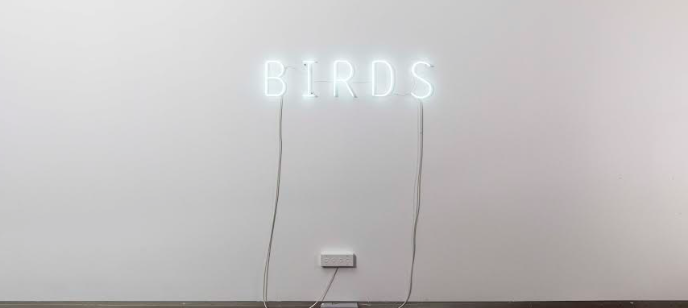 Victor Lope Arte Contemporáneo exposa l’obra més recent de  Concha Martínez