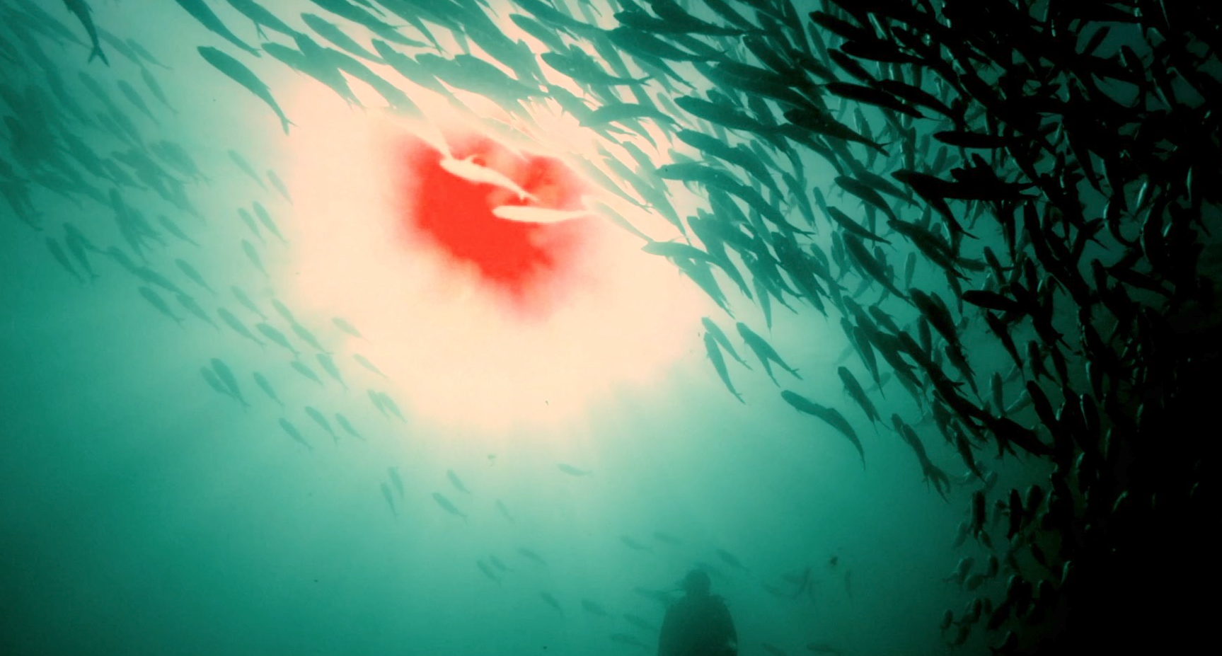 Loop reivindica la vitalitat artística de Barcelona