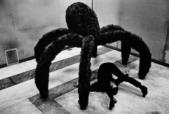 Dart Festival commemora els 50 anys d\'Art Povera