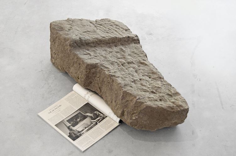 La persistència de la natura: Javier Arce a la Carles Taché