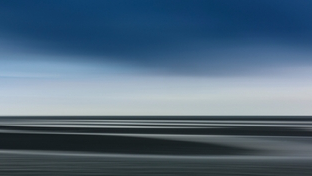 Fotografies de la natura de Joan A. Juárez a la Casa Saladrigas