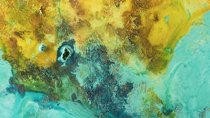 Inauguració de la XXX Mostra Internacional i Multidisciplinària d\'art contemporani