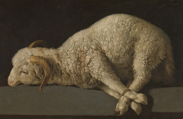 L\'Agnus Dei de Francisco de Zurbarán viatja a Bogotà