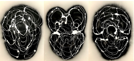 Antonio Rincón, a la Galeria Contrast per Art Nou