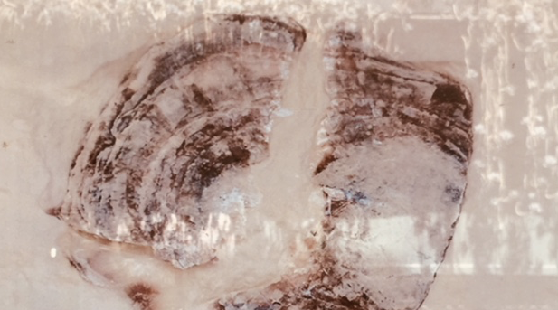 Olga Serral exposa a la sala dels Amics del Museu d\'Art de Girona