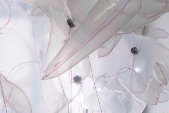 Les escultures inflable-electròniques d\'Olga Diego, al Consorci de Museus