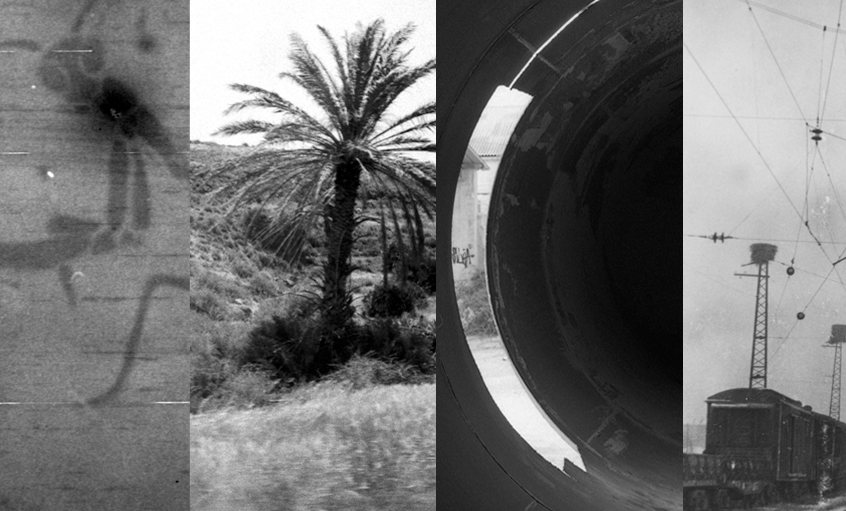 El col·lectiu Raspas al Centre Civic Pati Llimona