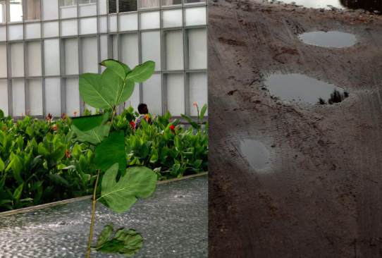 Inga Knölke, nou llibre i nova exposició a la galeria H2o