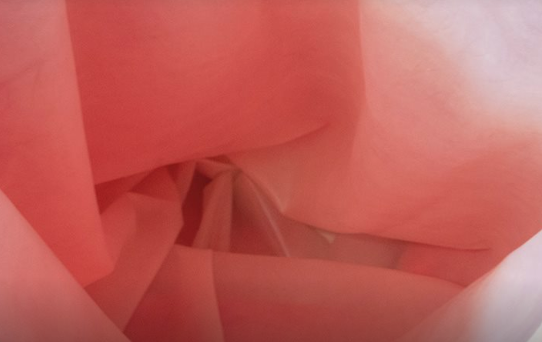 La Fundació Felicia Fuster exhibeix els projectes seleccionats en la XIII edició dels Ajuts a la jove Creació