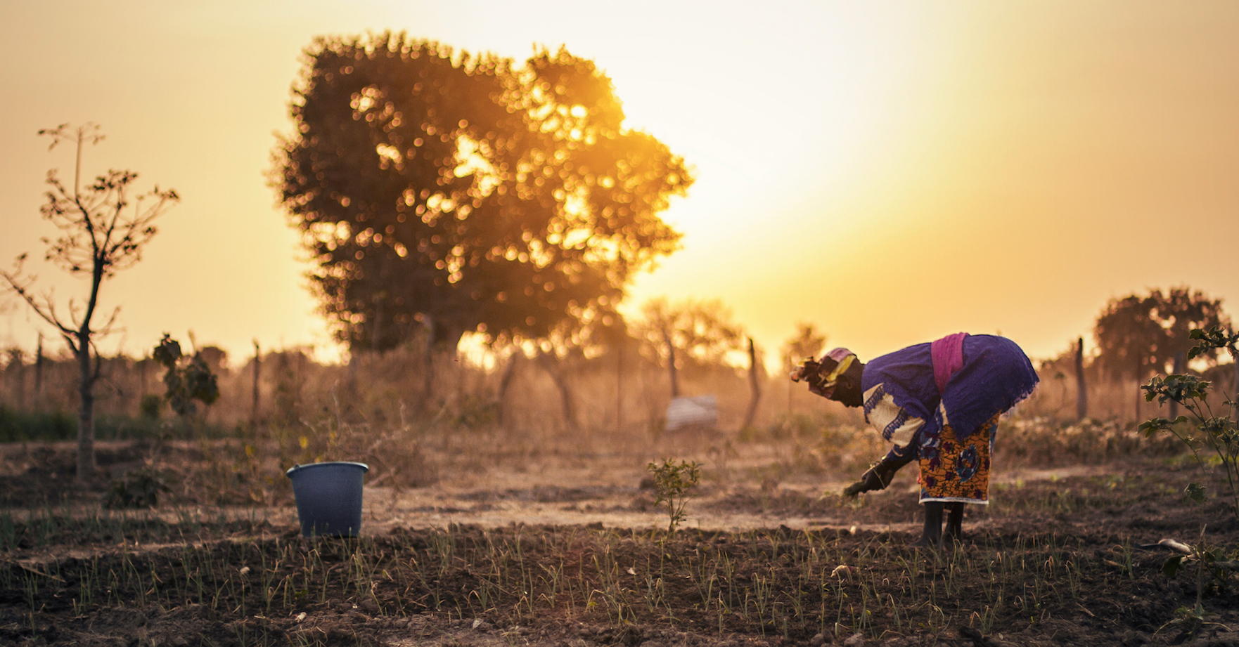 Inspai presenta l\'exposició guanyadora de la setzena edició del Premi Joves Fotògraf(e)s