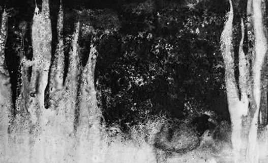 Els paisatges negres de Beatriz Cárcamo a Spaidart