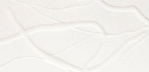 El Centre d\'Art Tecla Sala exposa el cos i l\'ànima del TPK Art i Pensament