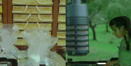 Mirat Projects presenta dues vídeo projeccions de la cineasta Filipa César