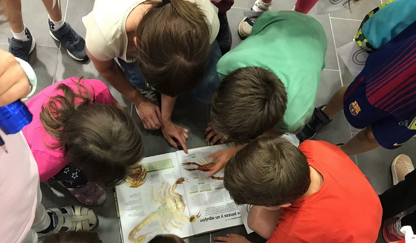 Prop de 1.500 súpers participen en la Supernit a les biblioteques gironines