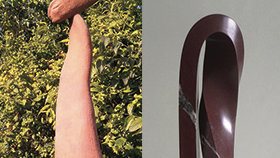 Josep Canals i Núria Efe al Claustre d\'Elna