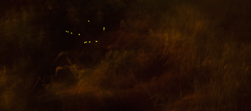 Errors i obsessions, Luca Pagliari a la galeria H20