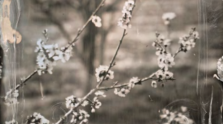 Inspai celebra el Dia Internacional dels Arxius amb una visita guiada i un taller