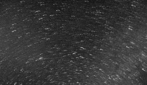 Luis Carlos Tovar al Centre d\'Art Alcobendas