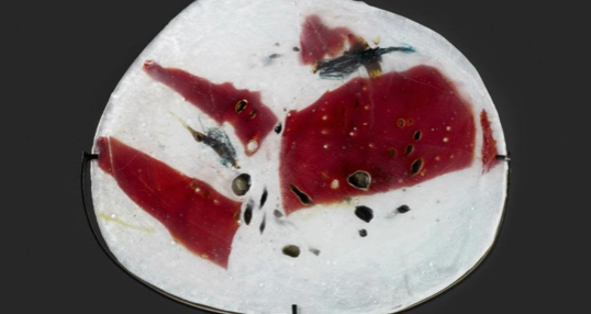 Alba Cabrera a la primera edició de JustLX Lisboa