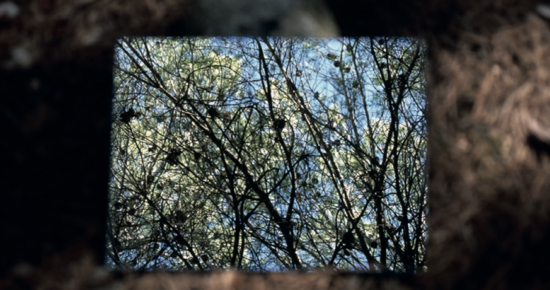 RocioSantaCruz Art a la Photo London 2018